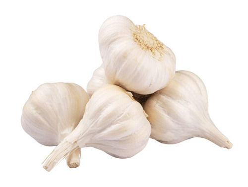 Natural And Pure Raw Fresh Garlic With One Week Shelf Life 