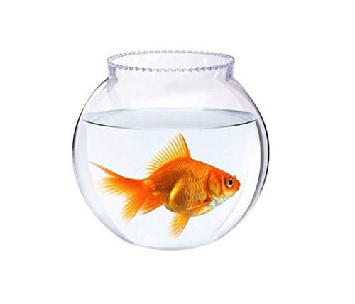 14x18x18 Cm Round Transparent Glass Fish Bowl For Decorations  Dimension(l*w*h): 14 X 18 X 18 Centimeter (cm) at Best Price in Firozabad