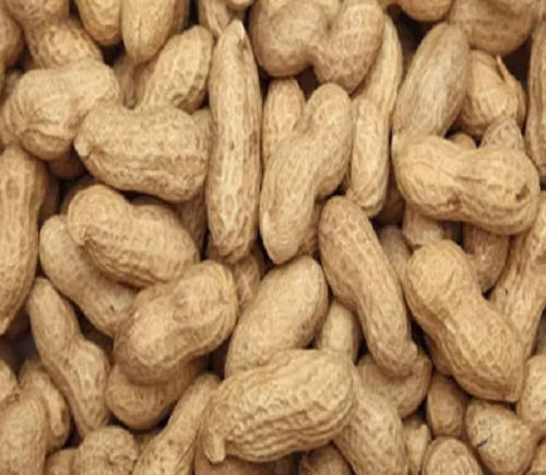 5% Broken Organic Dried Raw Non Flavored Groundnut Kernels 