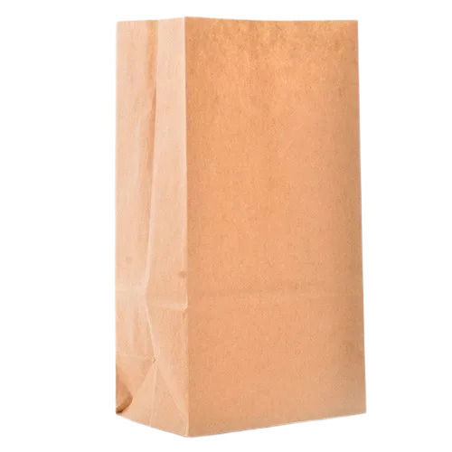 7x9x6 Inch 1 Kg Capacity Rectangular Disposable Paper Bag 