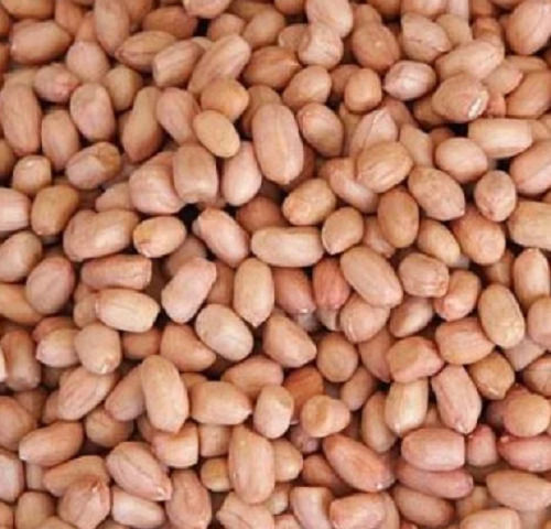 Organic Dried Earthy Flavor Round Shape Raw Peanut