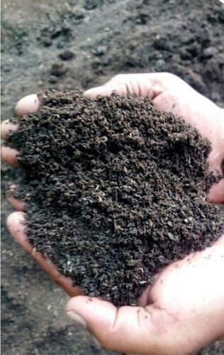 10-20% Moisture Vermicompost Fertilizer For Agriculture Crops Growing
