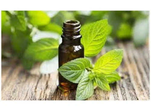 100% Pure And Natural Peppermint Oil With 2 Years Of Shelf Life