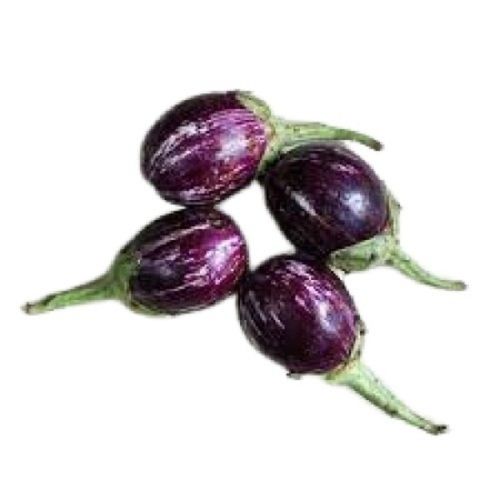 Naturally Grown Farm Fresh Chemical Free Healthy Oval Raw Brinjal Moisture (%): 10.25%