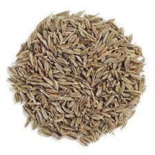 Brown Oblong Food-Grade Dry And Fresh Cumin Seed Hygienically Packed