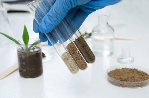 Soil Testing Services