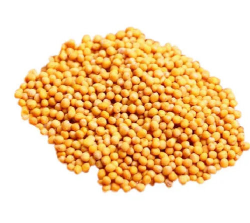 98% Pure Organic Dried Hybrid Yellow Mustard Seeds