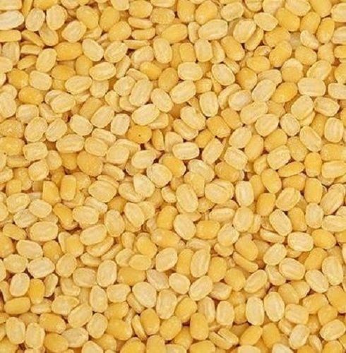 99% Purity Dried Whole Organic Moong Dal Admixture (%): 2%