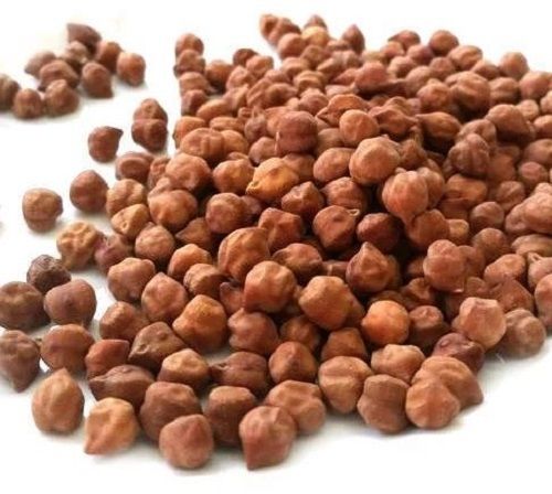 99% Purity Healthy and Nutritious Dried Common Desi Chana