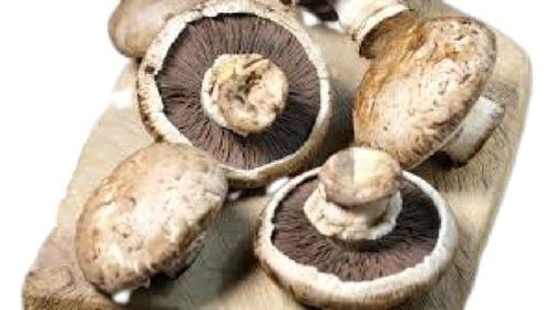 Brown A Grade Naturally Grown Portobello Mushrooms