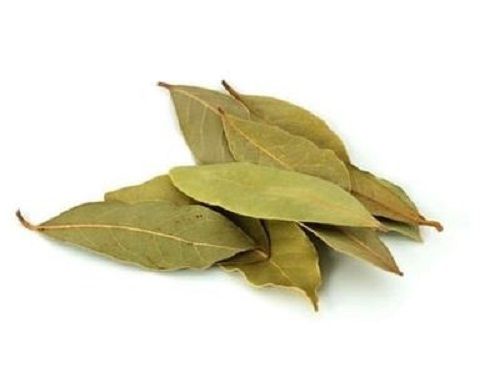 Green Earthy Taste Dried Raw Bay Leaf For Cooking Use