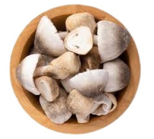 Paddy straw mushroom (433)