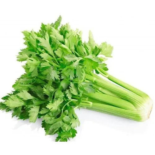 Fresh Moisture Proof No Preservatives Raw Celery For Cooking 