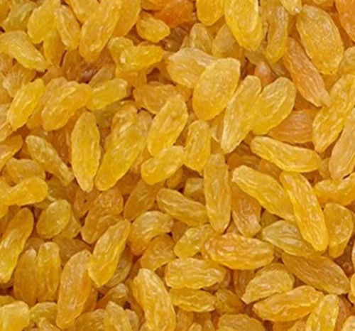 Glutinous Whole Dried Sweet Golden Raisins with 3 Months of Shelf Life