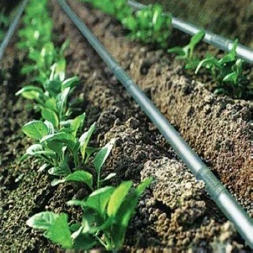 Inline Drip Irrigation Pipe For Agriculture Usage, Diameter 12mm