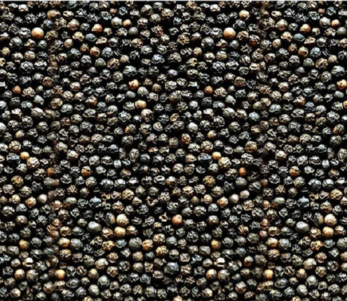 Whole Round Small Size Solid Pungent Taste Dried Organic Black Pepper