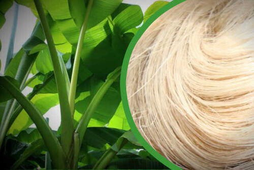 Banana Fiber Yarn For Hand Loom And Spinning