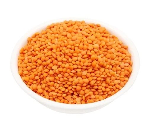 Pure And Dried Commonly Cultivated Raw Whole Masoor Dal For Cooking
