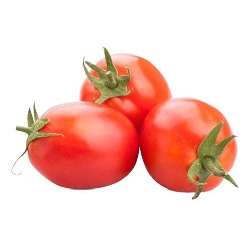 Rich In Taste Round Farm Fresh Tomatoes