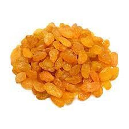 100 Percent Pure And Organic A Grade Natural Yellow Raisins
