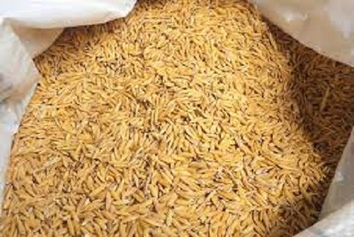 Dried Paddy Rice - Medium Grain Yellow Color Premium Quality | Highly Nutrient-Enriched Gluten-Free Easy to Digest Hygienically Packed