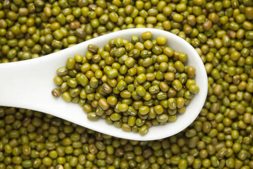 High In Protein Green Moong Seed For Cooking Use