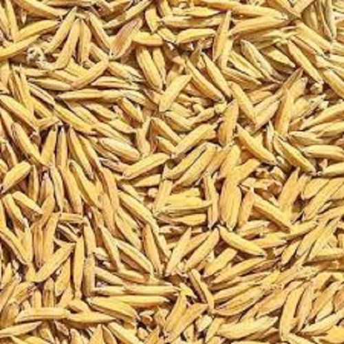 A Grade 100 Percent Purity Nutrient Enriched Healthy Medium Grain Dried Paddy Rice