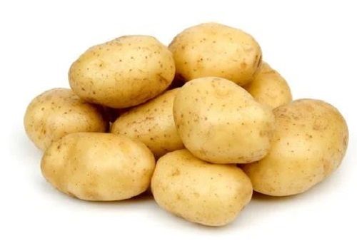63% Moisture Loose Fresh Pure And Natural Rich Round Potato