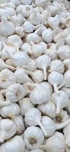 70% Moisture Natural Fresh And Rich Taste Healthy Garlic With 5 Months Sheif Life