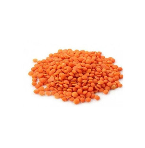 Organic Cultivated 2% Moisture Whole Round Dried Masoor Dal For Health Use