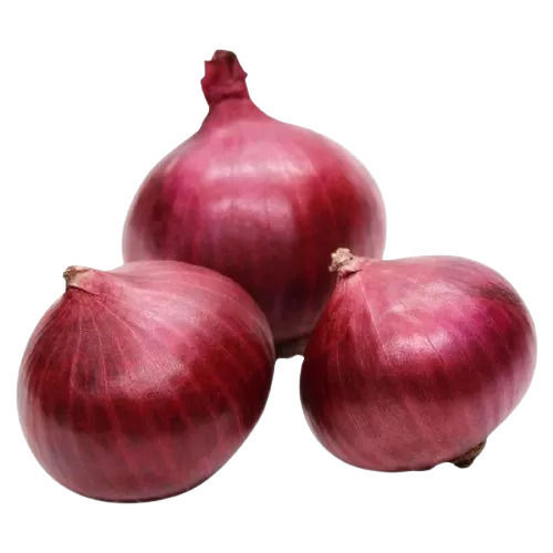 Pure And Raw Spherical Red Onion With One Week Shelf Life 