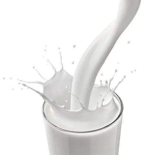 Healthy Cow Milk For Making Tea, Coffee And Sweet