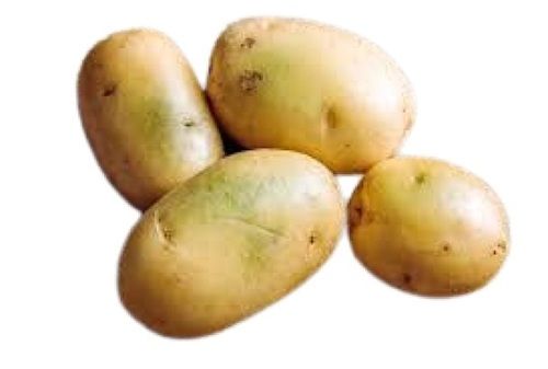 Naturally Grown Adulteration Free Fresh Raw Whole Potato