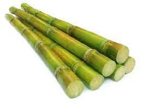 Sweet Sugarcane