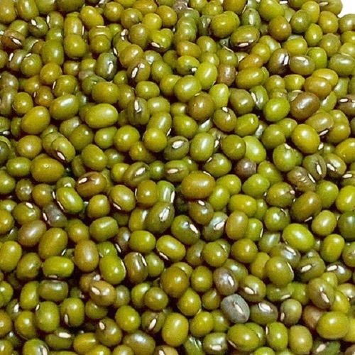 Commonly Cultivated Dried In Sunlight 100% Pure Oval Shaped Whole Moong Broken (%): 1 %