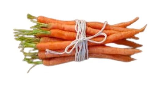 Fresh Naturally Grown Raw Carrot