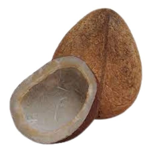 Indian Origin Round Shape Brown Dried Coconut