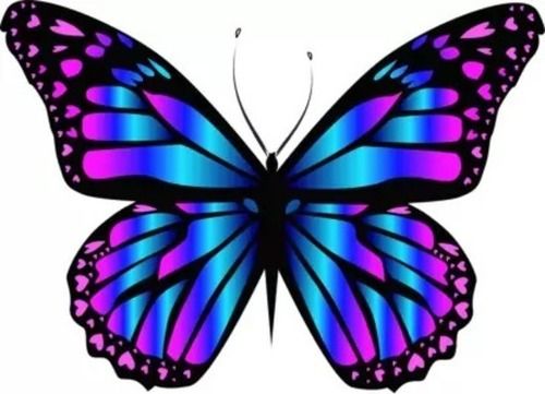 0.5 Mm Thick Single Sided Adhesive Butterfly Vinyl Colorful Sticker