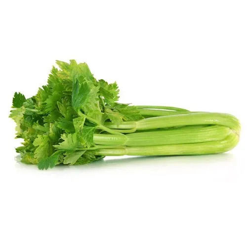 Natural And Fresh Raw Celery For Cooking