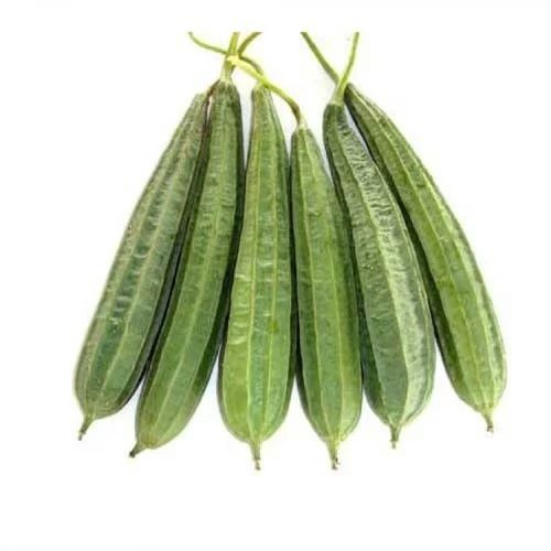 Natural And Pure Fresh Whole Ridge Gourd For Cooking Moisture (%): 15%