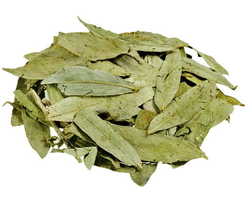 Pure And Dried Natural Senna Leaves For Hair Dying 