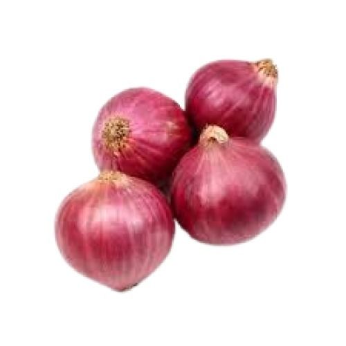 Round Shape Raw Naturally Grown Fresh Onion Moisture (%): 86%