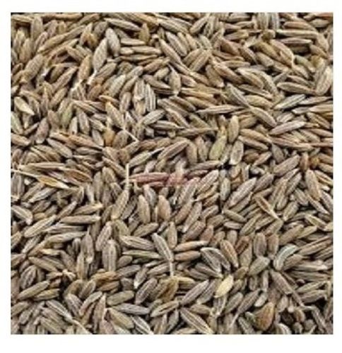 Solid Dried Raw Processing Elongated Shaped Edible Cumin Seed