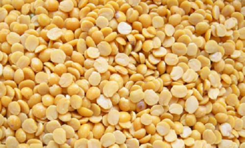 98% Pure Organic Dried Whole Round Toor Daal For Cooking Use