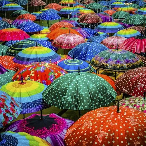 Polyester Fancy Design Printed Colorful Umbrella For Rainy Season