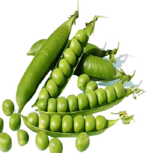 Rich In Vitamins Small Spherical Fresh Green Peas