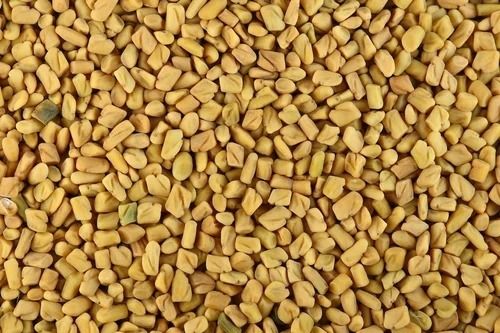 99 Percent Pure Organic Fenugreek Seeds With 12 Months Of Shelf Life 