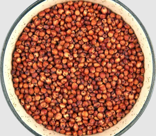 99% Pure Whole Dried Round Common Cultivated Jowar Seed