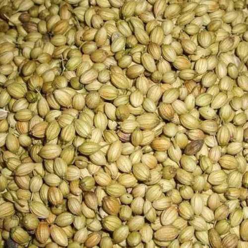 Commonly Cultivated Dried And Cleaned Whole Coriander Seeds Admixture (%): 2