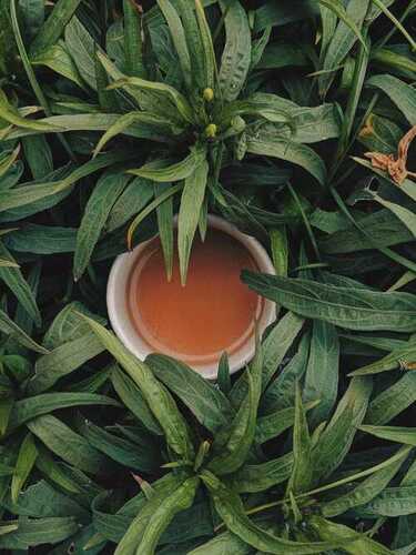 Natural Green Leaves Tea With Rich in Health Benefits